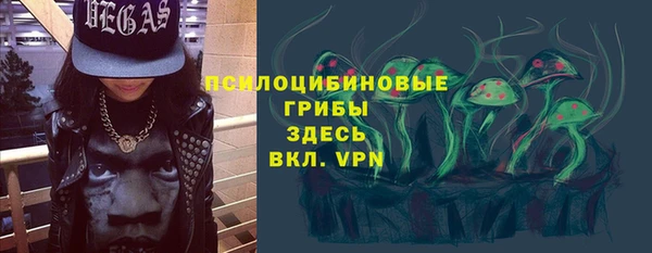 спайс Абаза