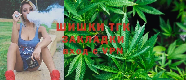 молекула духа Абинск