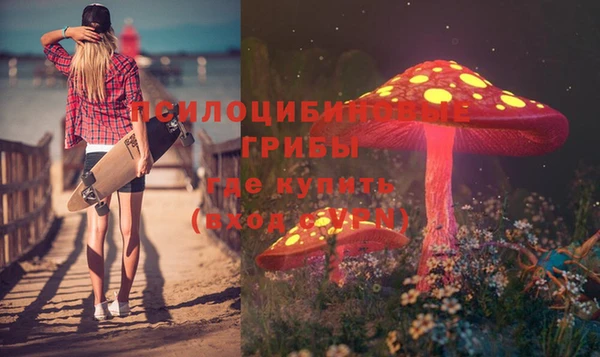 спайс Абаза